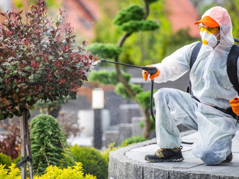 Demirci Haşere İlaçlama